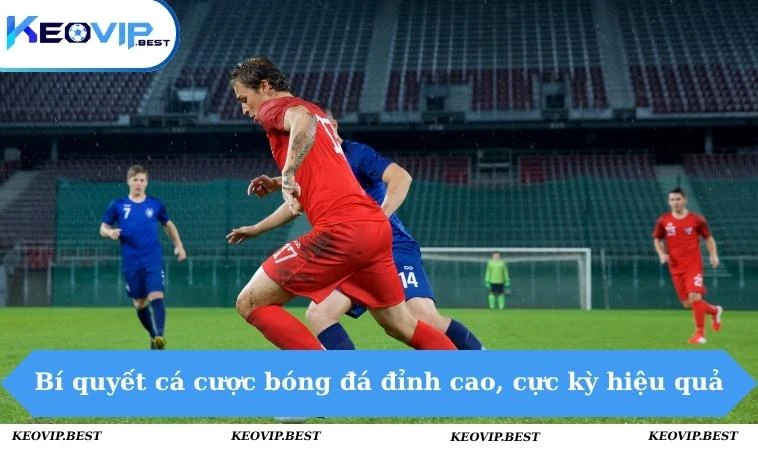 Bí quyết cá cược bóng đá đỉnh cao, cực kỳ hiệu quả