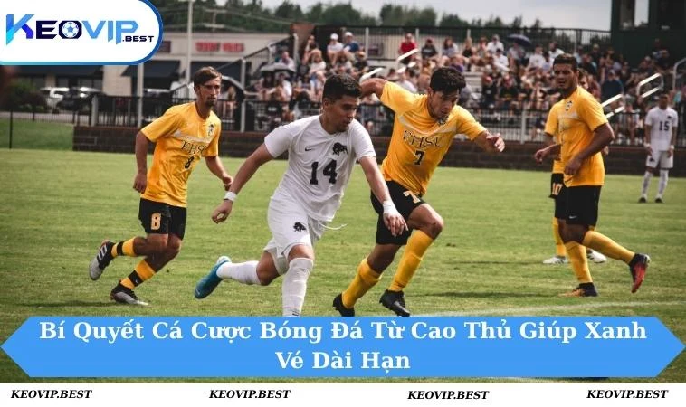 Bí quyết cá cược bóng đá