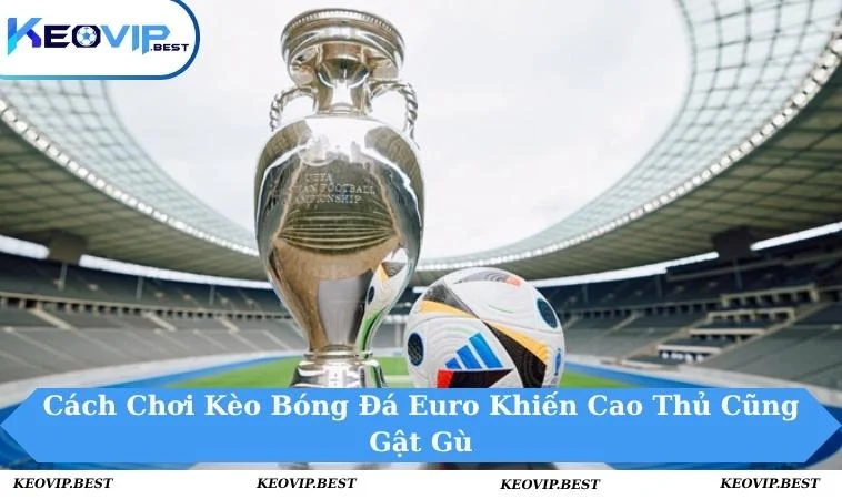 Cách chơi kèo bóng đá Euro