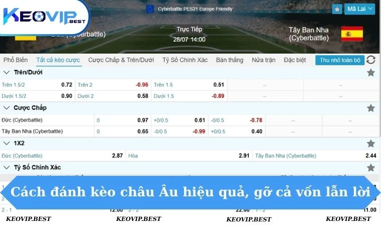 Cách Đánh Kèo Châu Âu Hiệu Quả - Chuẩn Cao Thủ KEOVIP 1 Cách đánh kèo châu Âu hiệu quả, gỡ cả vốn lẫn lời