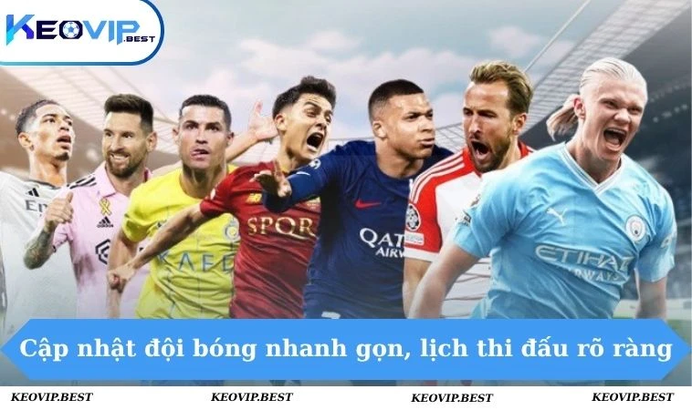 Lịch Thi Đấu 5 Cập nhật đội bóng nhanh gọn, lịch thi đấu rõ ràng