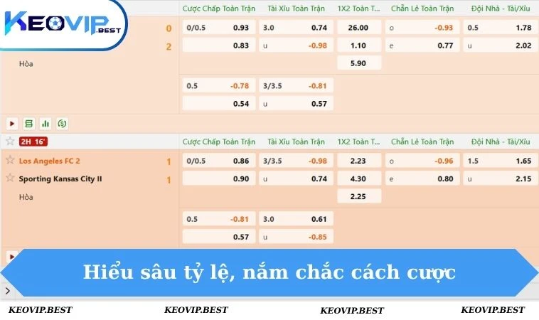 Cách Đánh Kèo Chấp Chuẩn Xác, Dễ Chơi Dễ Ăn Cùng KEOVIP 2 Hiểu sâu tỷ lệ, nắm chắc cách cược