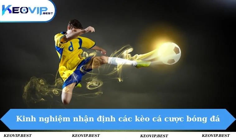 Kinh Nghiệm Nhận Định Các Kèo Cá Cược Bóng Đá Đỉnh Cao 2 Kinh nghiệm nhận định các kèo cá cược bóng đá đỉnh