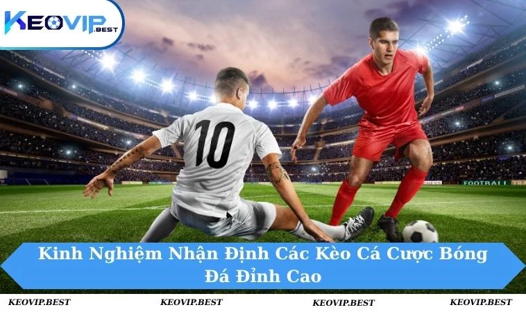 Kinh nghiệm nhận định các kèo cá cược bóng đá
