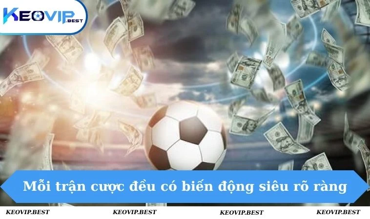 Trang chủ 5 Mỗi trận cược đều có biến động siêu rõ ràng