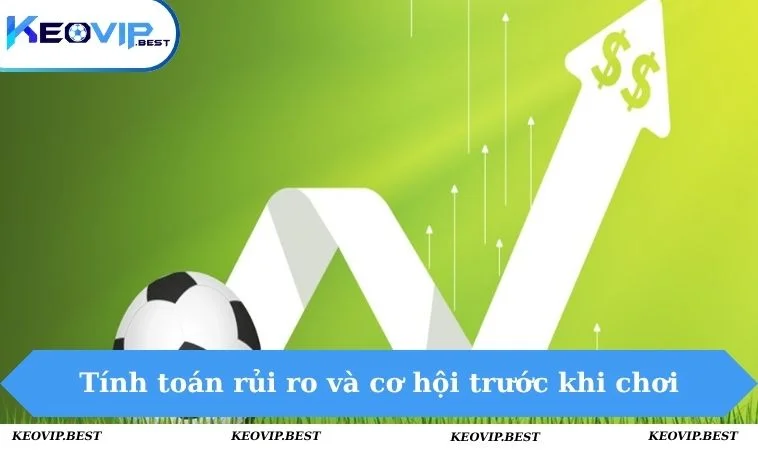 Tính toán rủi ro và cơ hội trước khi chơi
