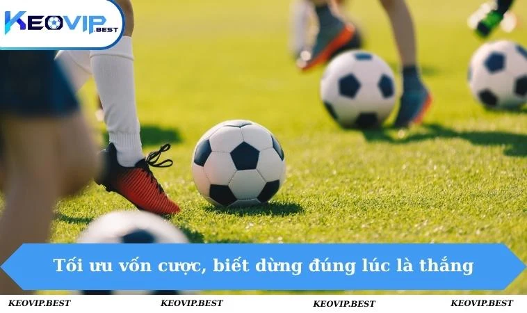 Tối ưu vốn cược, biết dừng đúng lúc là thắng