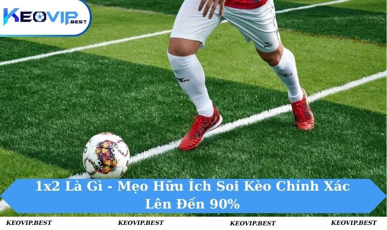 1x2 là gì