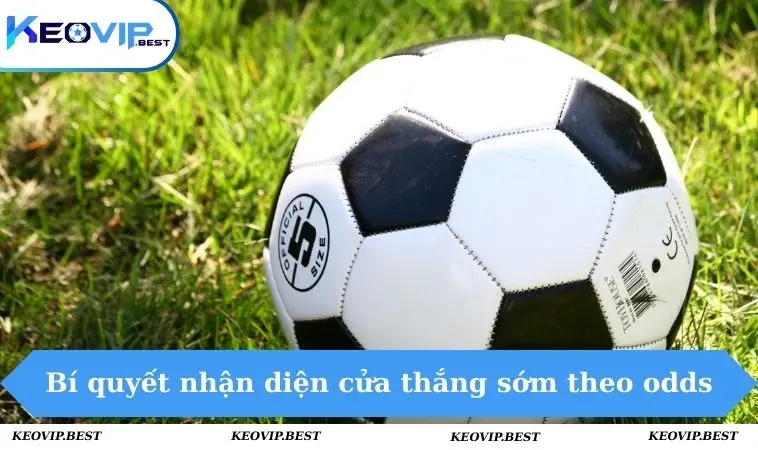 Kèo 3 Cửa Là Gì Và Chiến Lược Chơi Hiệu Quả Cùng Keovip 2 Bí quyết nhận diện cửa thắng sớm theo odds