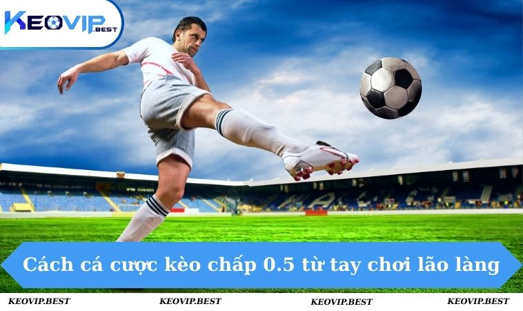 Kèo 0.5 - Tổng Quan Về Loại Cá Cược Hot Hit Tại KEOVIP 3 Chia sẻ cách đọc kèo 0.5 chuẩn từ chuyên gia