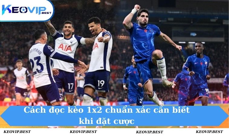 Cách đọc kèo 1X2 chuẩn xác cần biết khi đặt cược