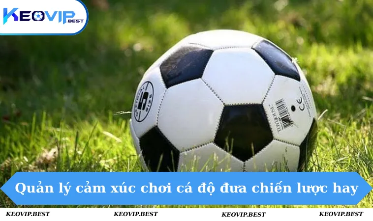 Cách Quản Lý Cảm Xúc Khi Chơi Cá Độ Giúp Thắng lớn 1 Cách quản lý cảm xúc khi chơi cá độ giúp bạn đưa ra nhiều chiến lược hay