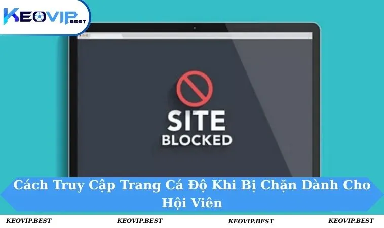 Cách Truy Cập Trang Cá Độ Khi Bị Chặn Dễ Dàng Nhất 6 Cách truy cập trang cá độ khi bị chặn