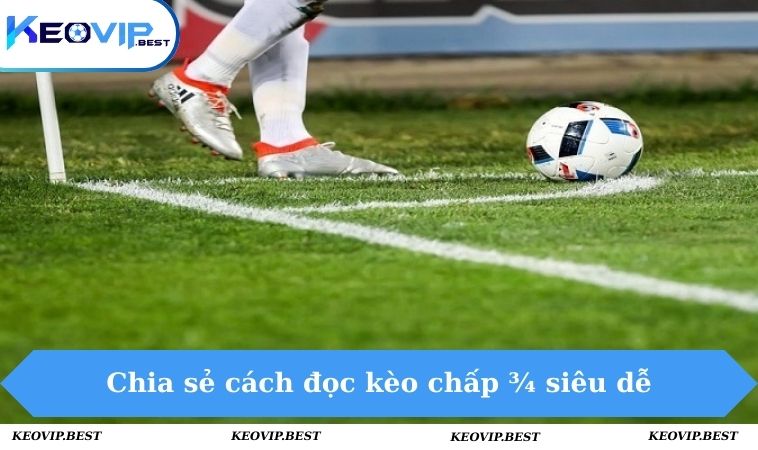 Kèo 0.75 Là Gì? Chia Sẻ Cách Đọc Kèo Cực Chuẩn Cho Tân Binh 2 Chia sẻ cách đọc kèo chấp ¾ siêu dễ