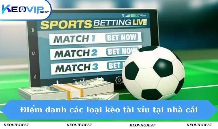 Điểm danh các loại kèo tài xỉu tại nhà cái