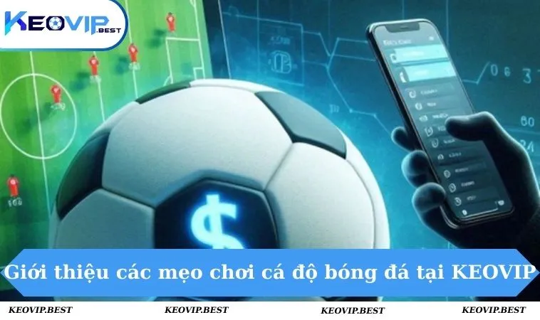 Giới thiệu các mẹo chơi cá độ bóng đá tại KEOVIP