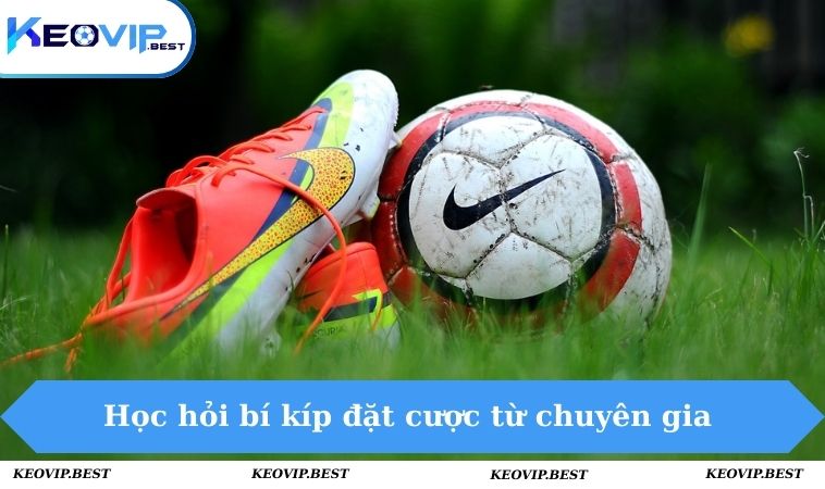 Kèo 0.75 Là Gì? Chia Sẻ Cách Đọc Kèo Cực Chuẩn Cho Tân Binh 3 Học hỏi bí kíp đặt cược từ chuyên gia trong ngành