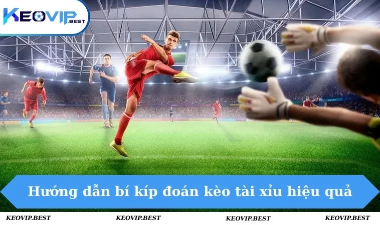 Hướng dẫn bí kíp đoán kèo tài xỉu hiệu quả