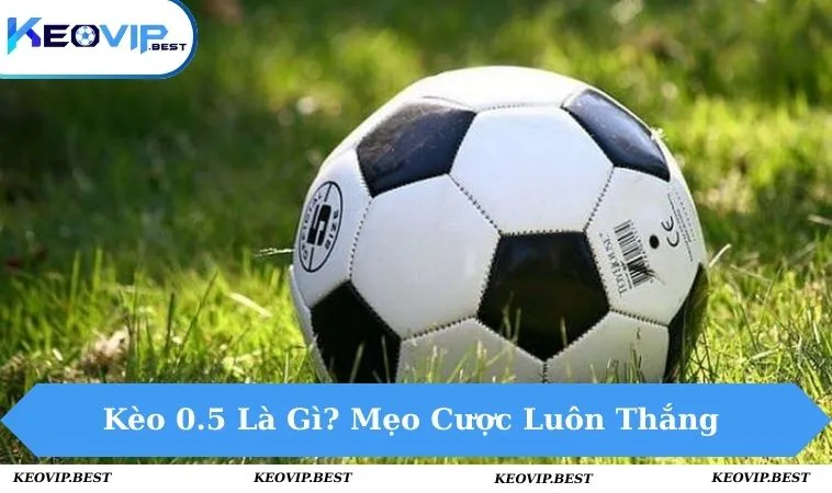 Kèo 0.5 Là Gì? Mẹo Đặt Cược Luôn Thắng Từ Cao Thủ 16 Kèo 0.5 là gì