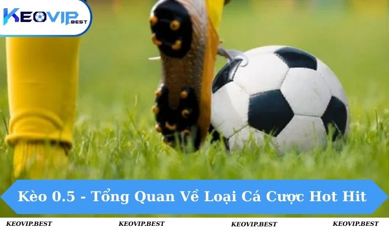 Kèo 0.5 - Tổng Quan Về Loại Cá Cược Hot Hit Tại KEOVIP 15 kèo 0.5