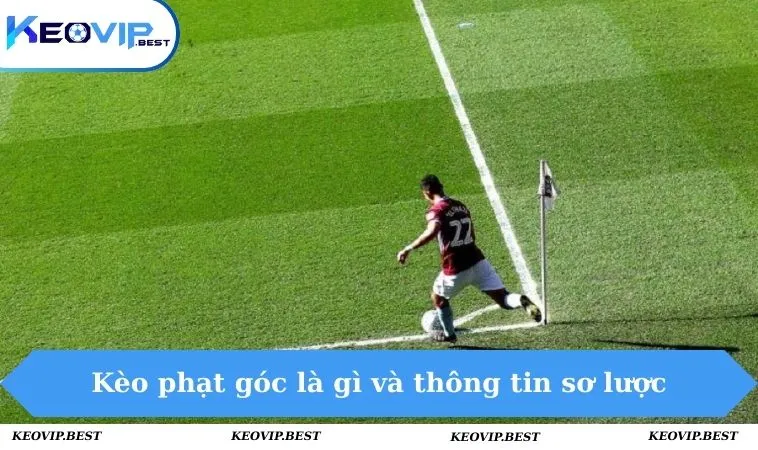 Kèo phạt góc là gì và thông tin sơ lược