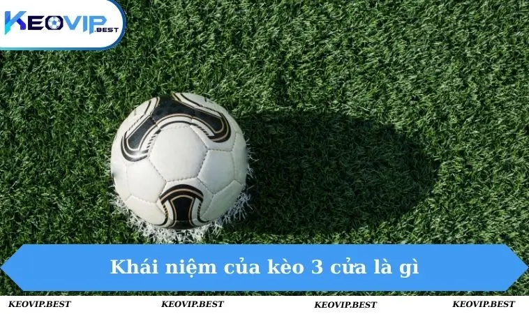 Kèo 3 Cửa Là Gì Và Chiến Lược Chơi Hiệu Quả Cùng Keovip 1 Khái niệm của kèo 3 cửa là gì
