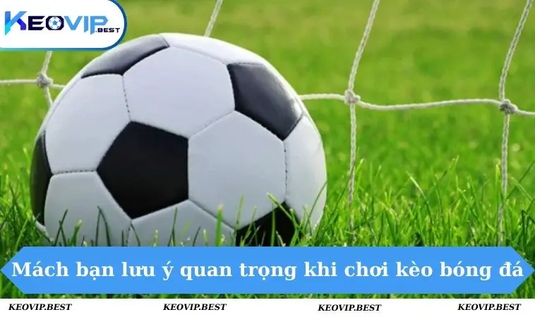 Mách bạn lưu ý quan trọng khi chơi kèo bóng đá