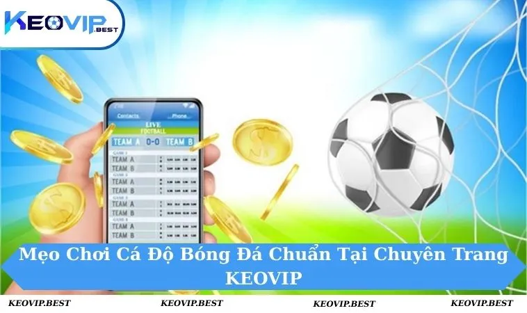 Mẹo Chơi Cá Độ Bóng Đá Chuẩn Từ Các Cao Thủ Soi Kèo 11 Mẹo chơi cá độ bóng đá