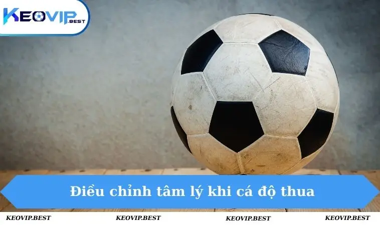 Nên làm gì khi cá độ thua bằng cách điều chỉnh tâm lý