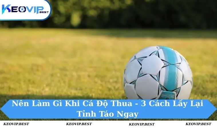Nên Làm Gì Khi Cá Độ Thua? Cách Xử Lý Thông Minh Cho Bạn 7 Nên làm gì khi cá độ thua
