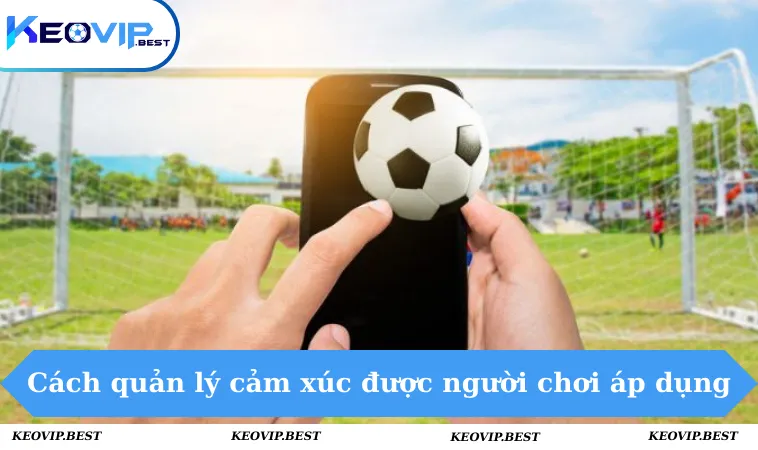 Cách Quản Lý Cảm Xúc Khi Chơi Cá Độ Giúp Thắng lớn 3 Những cách quản lý cảm xúc tốt được người chơi áp dụng