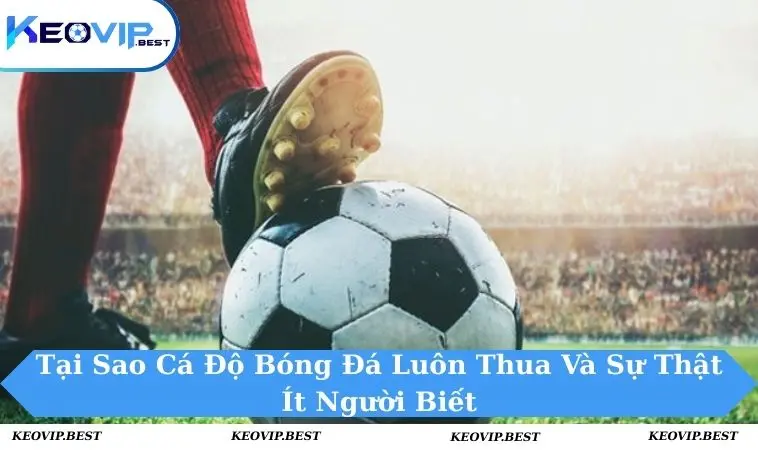 Tại Sao Cá Độ Bóng Đá Luôn Thua Và Mẹo Hay Để Khắc Phục 14 Tại sao cá độ bóng đá luôn thua