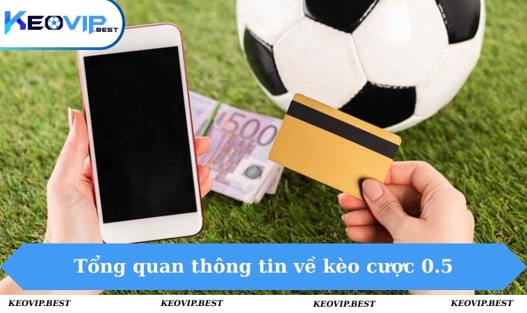 Kèo 0.5 - Tổng Quan Về Loại Cá Cược Hot Hit Tại KEOVIP 1 Tổng quan thông tin về kèo cược 0.5