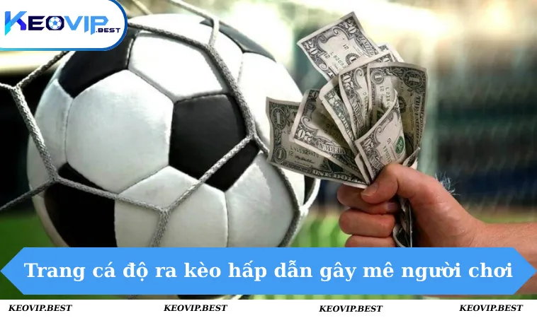 Trang Cá Độ Ra Kèo Như Thế Nào - Thông Tin Chi Tiết & Cụ Thể 3 Trang cá độ ra kèo hấp dẫn gây mê người chơi